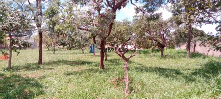 Imagem Lote em Condomínio Fechado para Venda em Brasília, Setor Habitacional Tororó (Jardim Botânico)