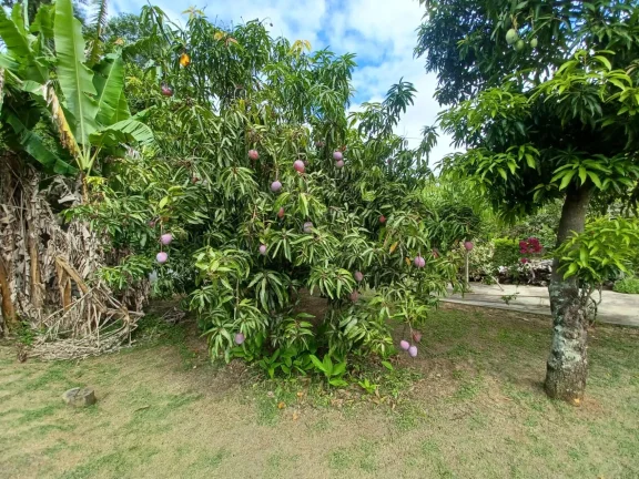 Imagem Casa com 03 dormitórios Condomínio Village da Serra- Araçoiaba da Serra