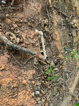 Imagem TERRENO DE 460 M2 EM GUARAPARI ES