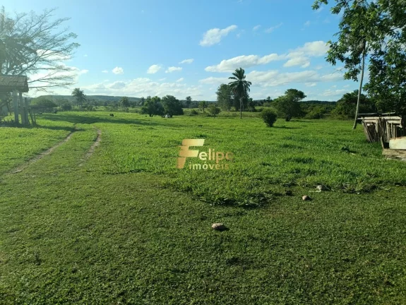 MARAVILHOSA FAZENDA PARA PLANTIO DE CAFÉ.
