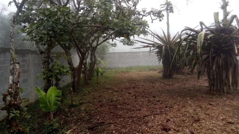 Imagem Terreno no Jardim Silveira - Marsilac