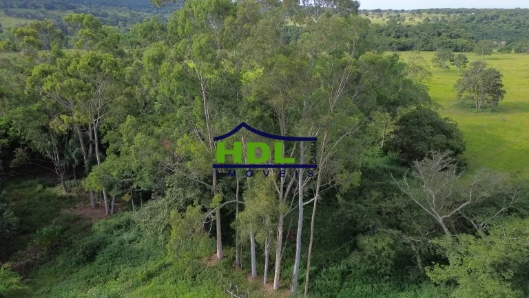 Imagem Fazenda 10 Alqs dupla aptidão em Hidrolândia