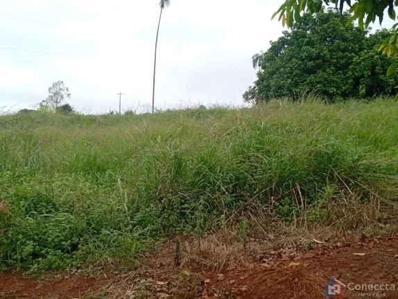 Imagem Fazenda à Venda em Patos de Minas – 6 Hectares na Zona Rural por R$ 1,8 Mi