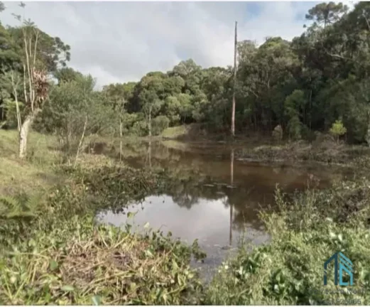 Foto do imóvel: Chácara com sobrado, casa, chale, salão de eventos, piscina, em São José dos Pinhais - PR