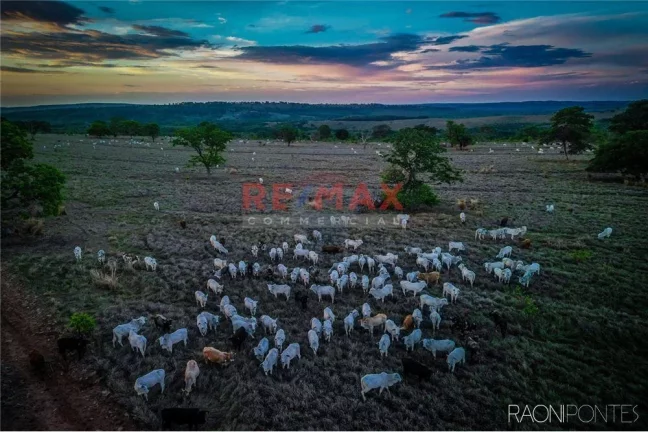 Fazenda à Venda, 45.340.000 m² em Centro - Figueirão - Figueirão