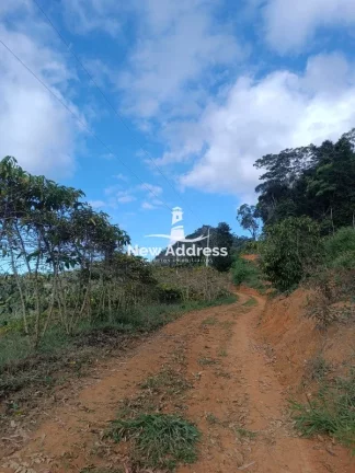 Imagem Terreno com 5.000 m² e Plantação de Café à Venda - Santa Lepoldina
