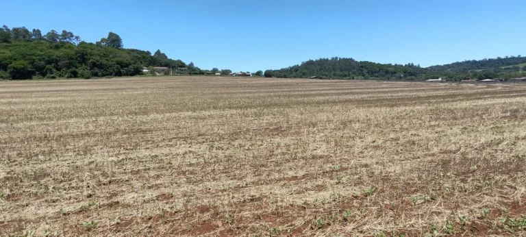 Foto do imóvel: Chácara à venda em Cascavel - São Salvador - Lavoura e Rio