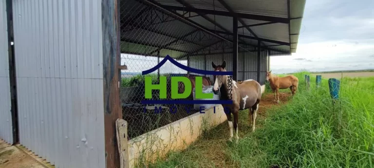 Imagem Fazenda de 23 alqs com estrutura para leite.