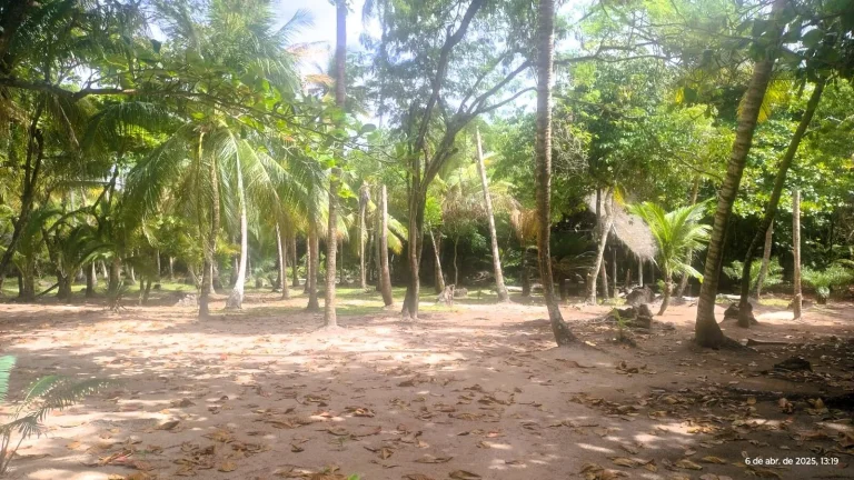 Imagem Terreno à venda em Velha Boipeba, Cairu - Oportunidade única!