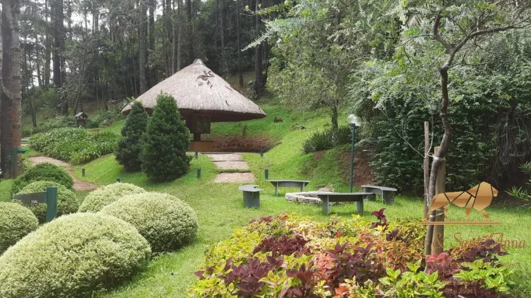 Imagem Imperdivél, excelente terreno à venda em Santo Antônio do Pinhal/SP