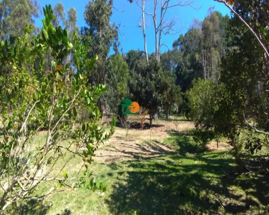 Imagem Terreno para Venda em São Roque, Sorocamirim (canguera)