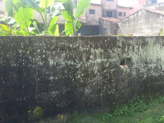 Imagem Terreno para Venda em Itanhaém, Jardim Suarão (Praia)