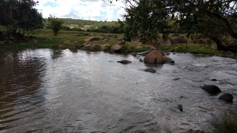 Imagem FAZENDA A VENDA EM ORIZONA-GO