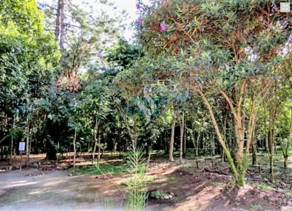 Imagem Casa em Condomínio à Venda no Horto Florestal - Ubatuba/SP.