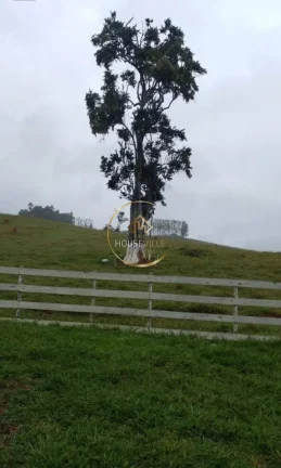 Imagem Chácara 12 mil m², Casa 2 dormitórios ( 2 suítes), Paraibuna, Sp.