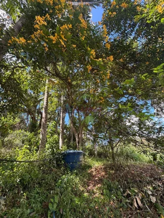 Imagem Sítio em Área Rural de Biguaçu, Biguaçu/SC