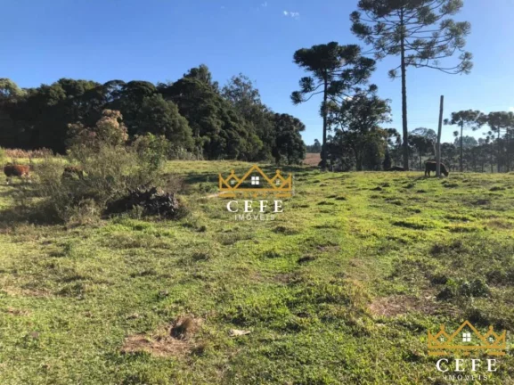 Imagem Chácara - Sítio com 3 Dormitorio(s) localizado(a) no bairro Serra Grande em Três Coroas / RIO GRANDE DO SUL Ref.:1016