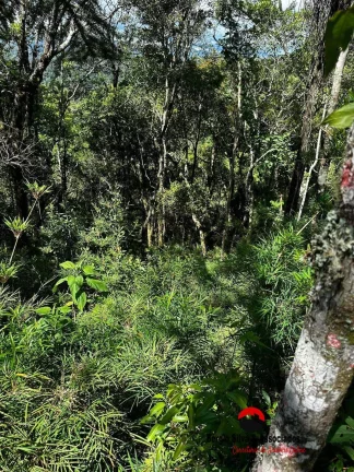 Imagem Terreno a Venda na Região da Cidade do Sol em Campos do Jordão -SP.