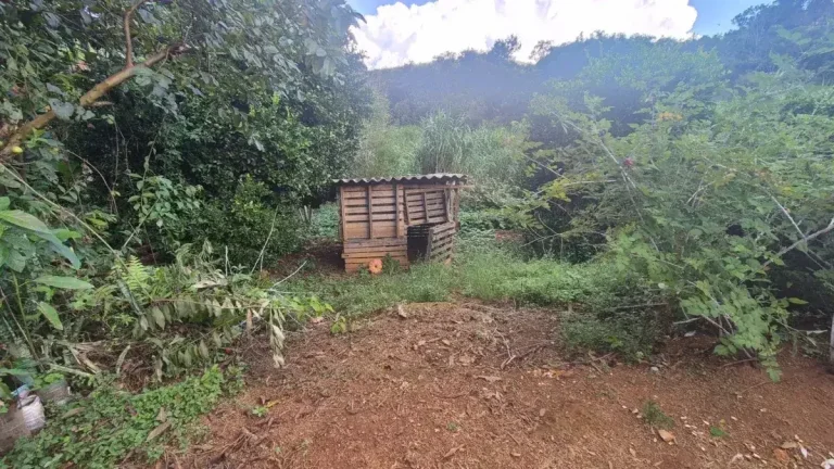 Imagem Sítio Encantador com Pomar, Solo Fértil e Construção Rústica em Antônio Carlo