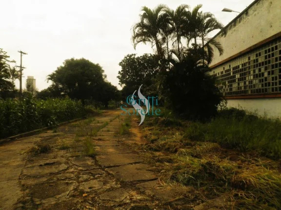 Imagem Terreno à Venda em Parque São Domingos - São Paulo/SP.