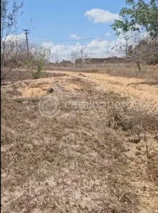 Imagem Terreno à venda no Campus Verdes Boulevard - São Gonçalo do Amarante
