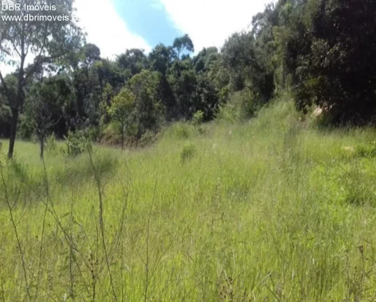 Imagem TERRENO RESIDENCIAL em SÃO ROQUE - SP, MARMELEIRO