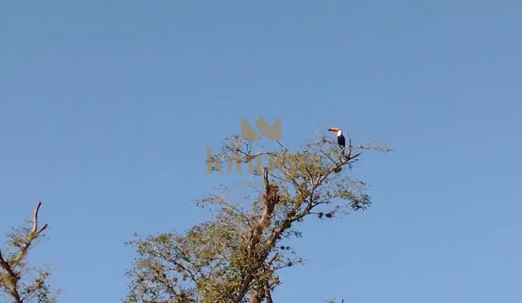 Imagem Terreno à venda em Condomínio Centro - Araçoiaba da Serra/SP