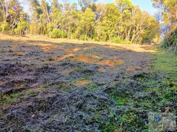 Imagem Terreno para Venda em São José dos Pinhais, Campestre da Faxina