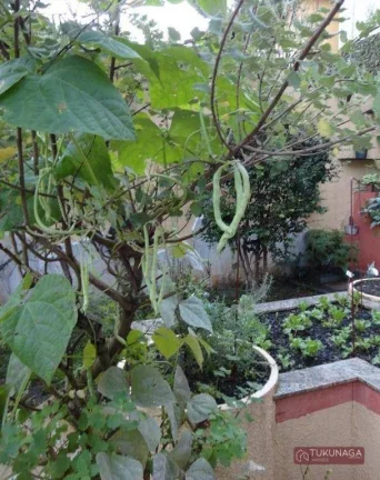 Imagem Sobrado com 6 dormitórios à venda, 461 m² por R$ 1.690.000,00 - Horto Florestal - São Paulo/SP