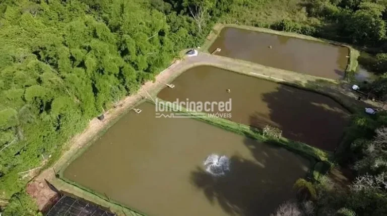 Imagem Excelente Chácara à Venda no Rancho Ringo - Área Total de 15.000m², com benfeitorias!