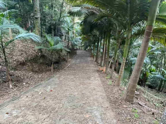 Imagem Chácara em Camboriú