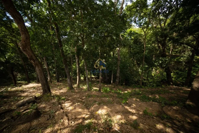Imagem Sítio à venda na Guia - Cuiabá/MT | 82 hectares com nascente, açudes e estrutura completa