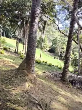 Imagem MORRO COM VISTA MAR - SERRA GRANDE