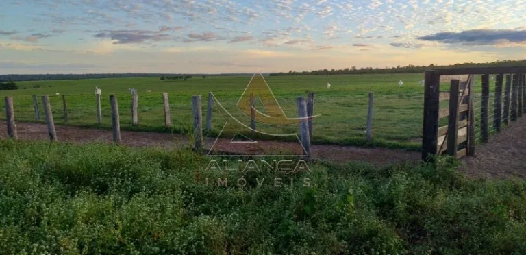 Imagem Fazenda - Guaraí - Guaraí