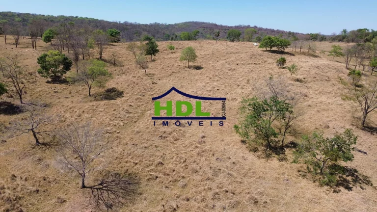 Imagem Chácara 2 Alqs de Cultura Forte e nascente 85 kms de Goiânia