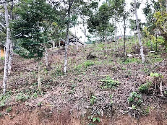 Imagem Terreno à venda, 429 m² por R$ 149.900,00 - Vargem Grande - Teresópolis/RJ