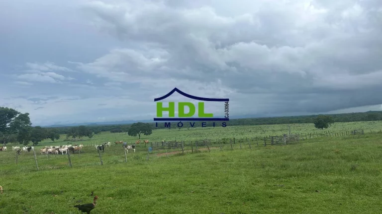 Fazenda 226 Alqs Dupla aptidão Natividade/TO