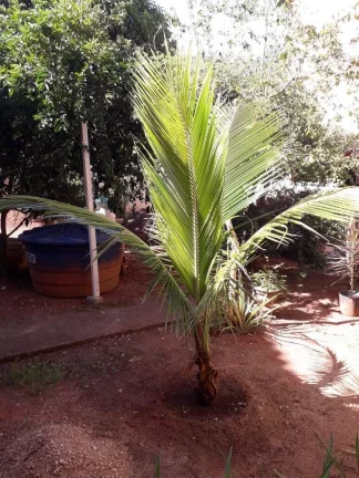 Imagem Casa em Itaipuaçu Maricá