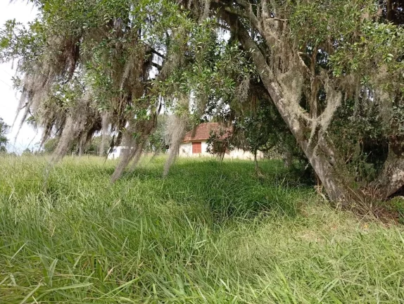 Imagem Sítio a venda com 9 Hectares, Passo da Areia, Viamão/RS