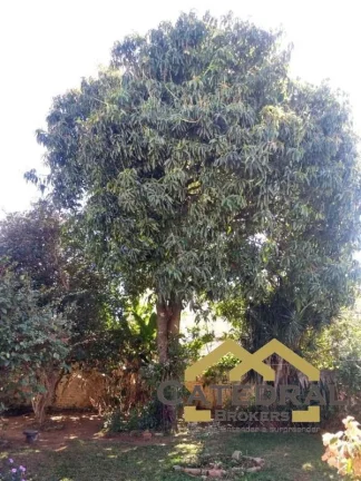 Imagem Casa com 3 dormitórios e 8 vagas para Venda ou Aluguel - Centro - Jundiaí/SP