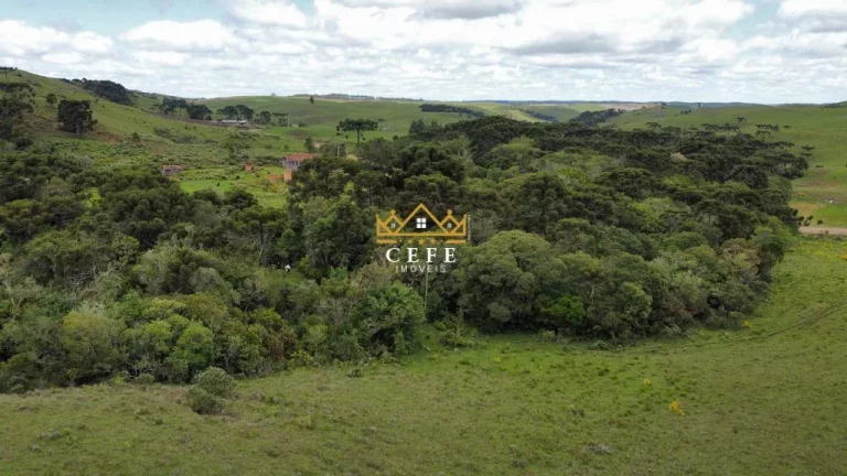 Imagem Chácara - Sítio com 2 Dormitorio(s) localizado(a) no bairro Eletra em São Francisco de Paula / RIO GRANDE DO SUL Ref.:1521