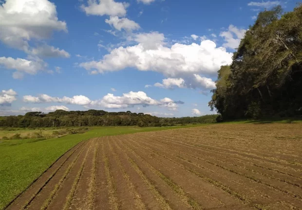 Imagem Terreno para Venda em São José dos Pinhais, Campo Largo da Roseira