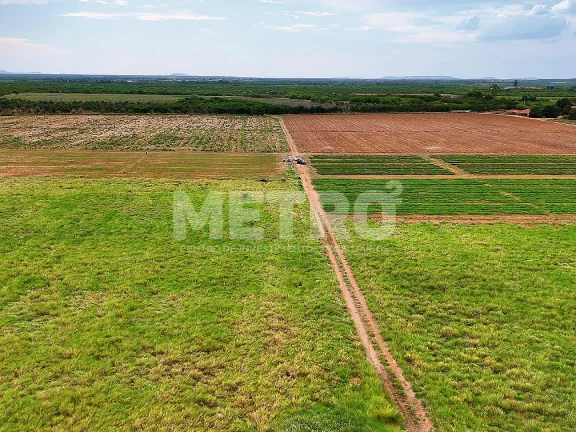Imagem Fazenda com 116ha, Casa, Galpão, 25ha plantados e mais 32 prontos para plantar