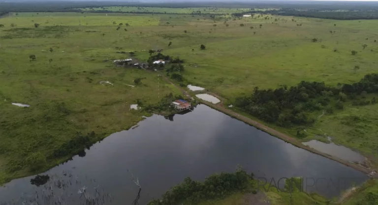 Imagem Fazenda à Venda, 13.360.000 m² em Zona Rural - Santa Rita Do Tocantins