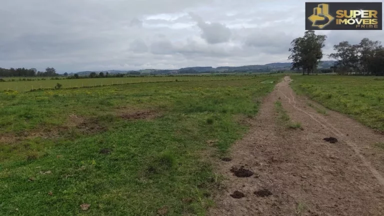 Imagem Fazenda Espetacular no Capão do Leão-RS próximo de Pelotas
