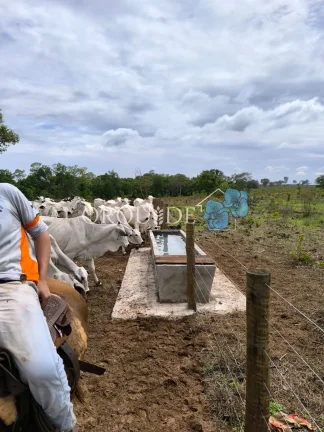 Imagem Fazenda à venda em Mineiros-GO: 150,00 alqueires na Área Rural de Mineiros