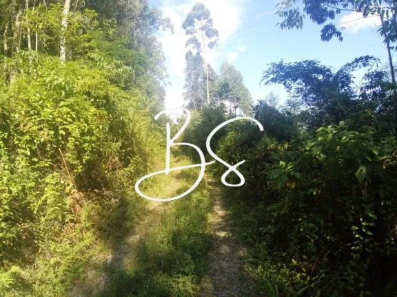 Imagem SITIO RURAL em NOVA PETRÓPOLIS - RS, Linha Brasil