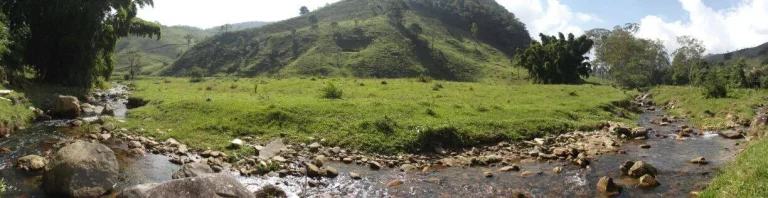 Imagem VENDO FAZENDA FICA A 25 KM DO CENTRO DE ANGRA 116 Hectares, MUITA ÁGUA
