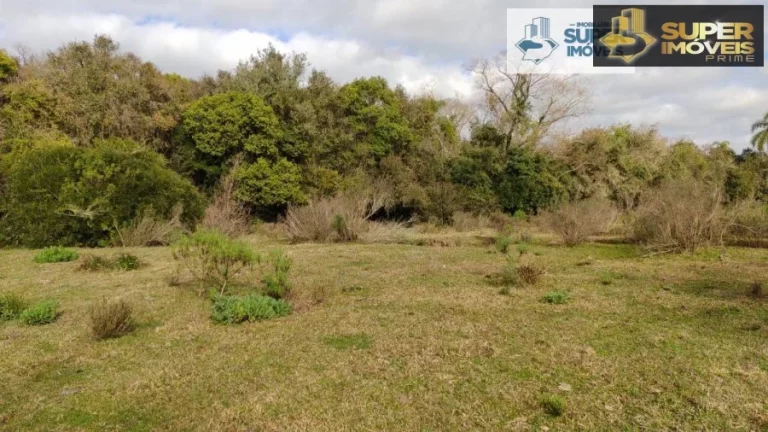 Imagem Fazenda para Venda em Canguçu-RS