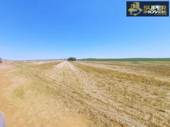 Imagem Fazenda de Excelência no RS 2.100 hectares Cachoeira do Sul